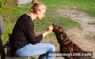 jdb电子爆奖：德州扑克存款优惠全攻略，轻松玩转充值福利