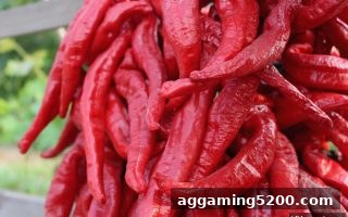 从数据逻辑到爆奖体验：jdb电子爆奖视角下的棋牌胜率动态分析