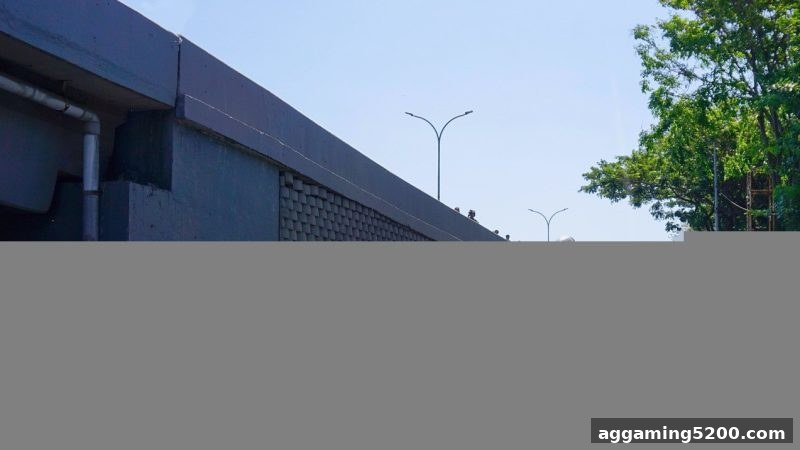 jdb电子爆奖深度解析：飞禽走兽平台安全性评估全攻略